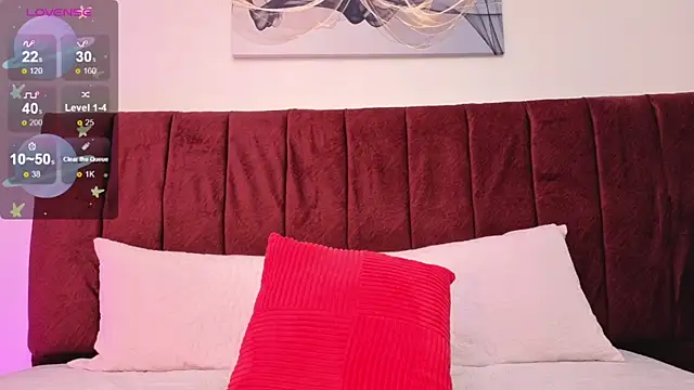 SALOME_F0X_ webcam