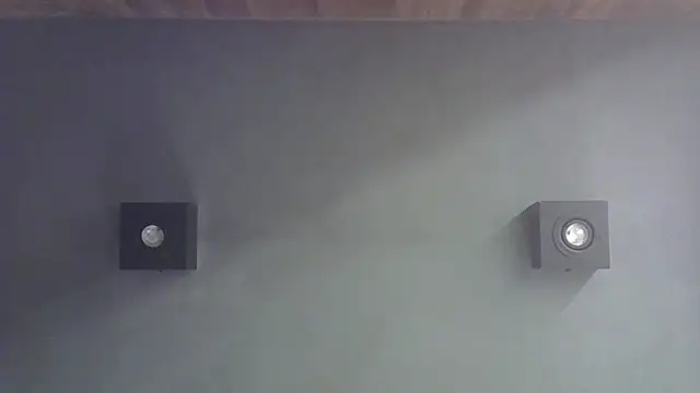 SkinnyKitten webcam