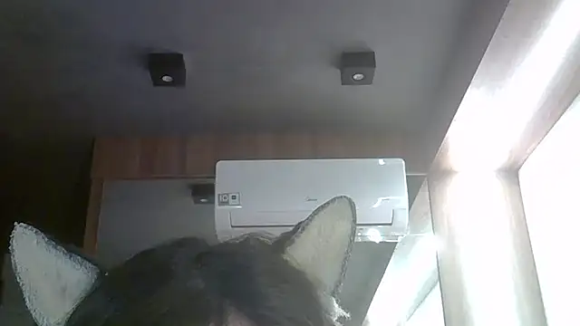 Afbeelding van SkinnyKitten