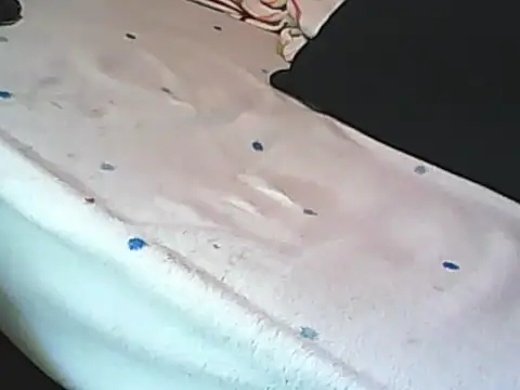 Fundy37 webcam