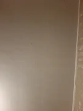 Playfulchubb webcam