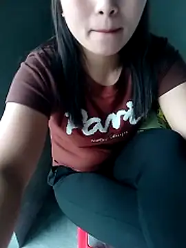 maimai1100 webcam