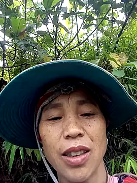 daily-ly webcam