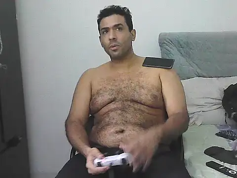 IronSideBear webcam