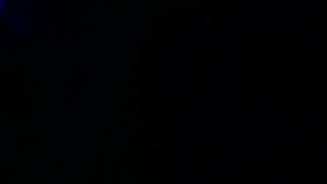 SelmaCarolfi webcam