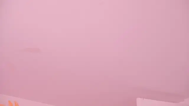 alix_bay webcam