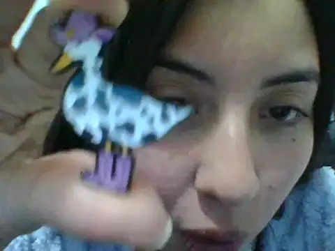 _Romilly_ webcam