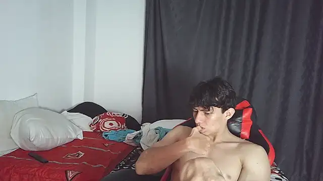 aresholland webcam