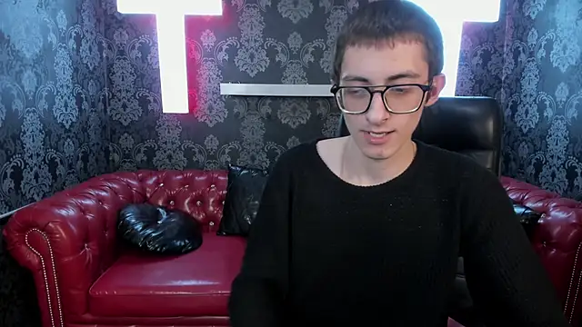RonBevs webcam