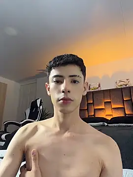 SebastianReed_ webcam
