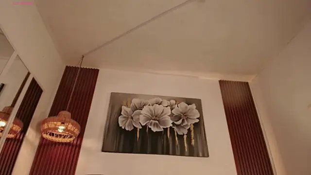 Alice-blaker webcam