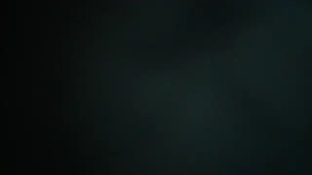 blkwanker webcam