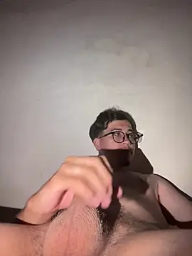 safadinhofire webcam