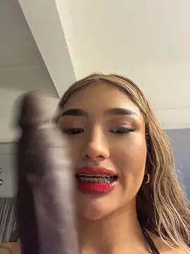 Arianavillada webcam
