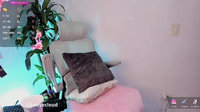 NayeCloud webcam