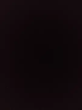 Alcon347 webcam
