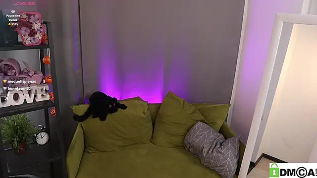 Sue_Sanders webcam
