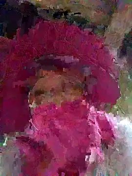 heesuu11 webcam