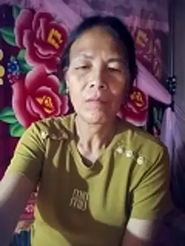 toyo_668 webcam