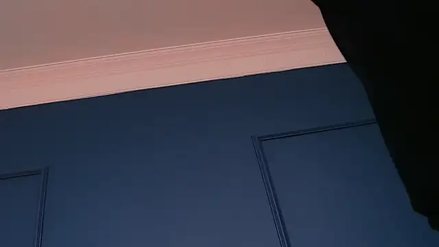 DeeaVIP webcam