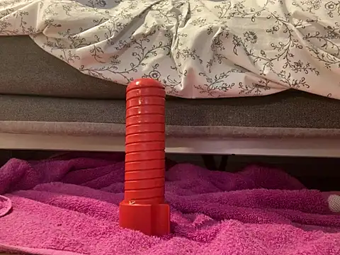 mesetti webcam