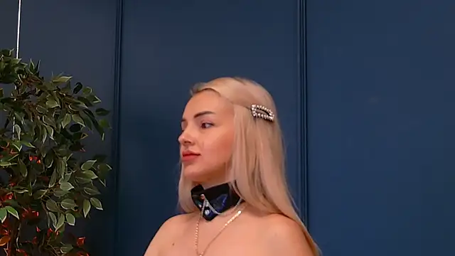 DeeaVIP webcam