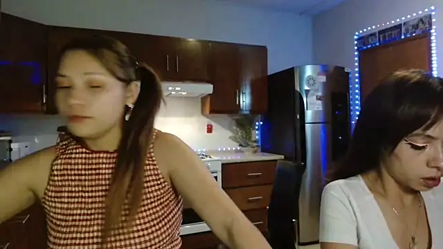 3littles webcam