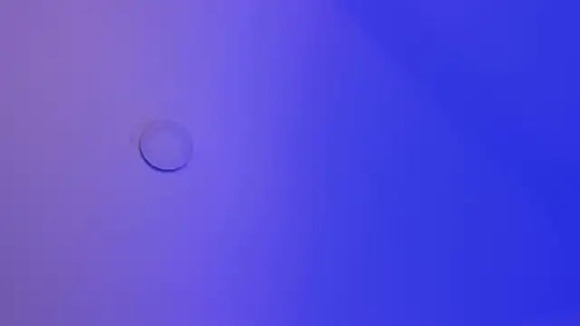 nicol_gw7 webcam