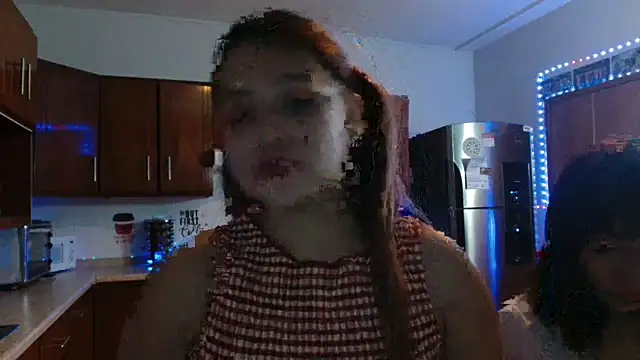 3littles webcam