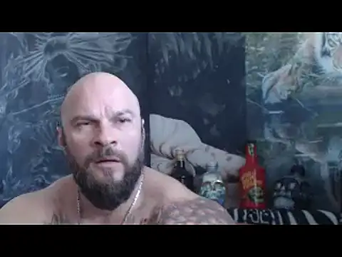 viking_30 webcam