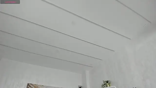 TiffanyHouston_ webcam