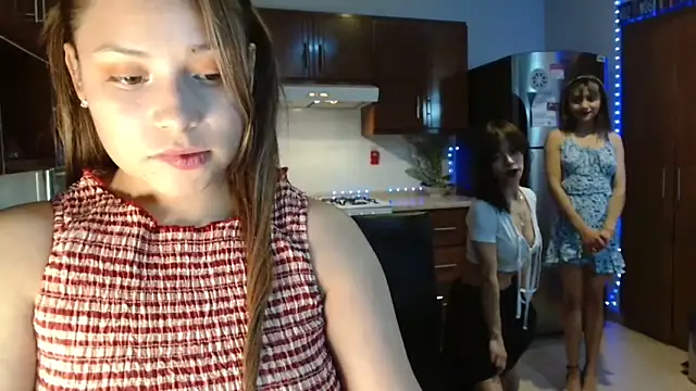 3littles webcam