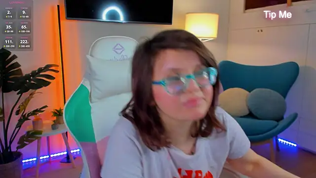 Ariell_Mini webcam