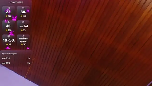 camigp webcam