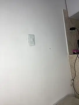NV-Nikoll webcam