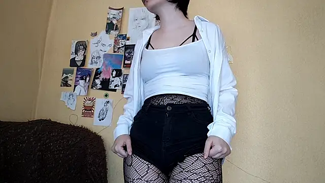 HighLense webcam