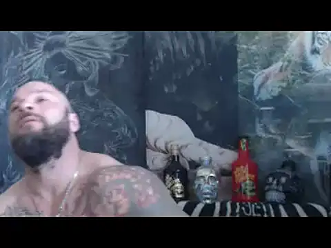 viking_30 webcam