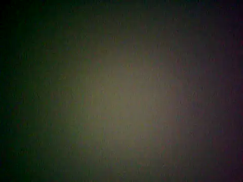Yalamania webcam