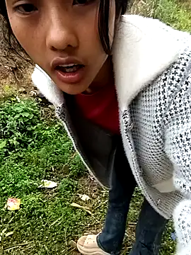 Hoa-tuylip webcam