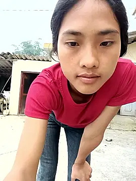 Hoa-tuylip webcam