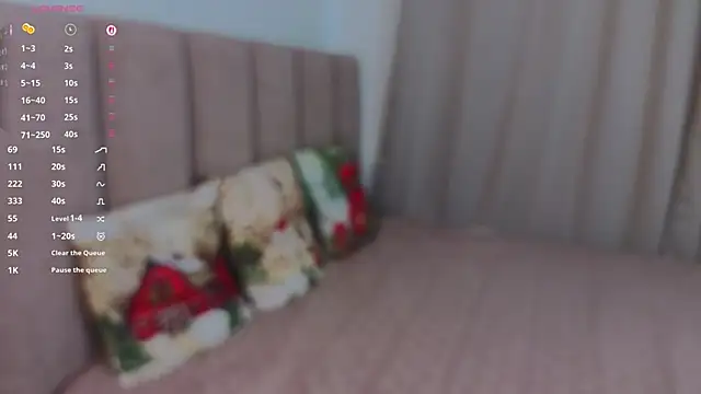 SoLefeld webcam