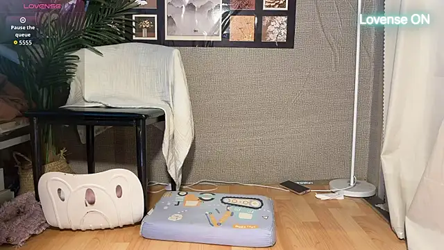 xiaosu22 webcam