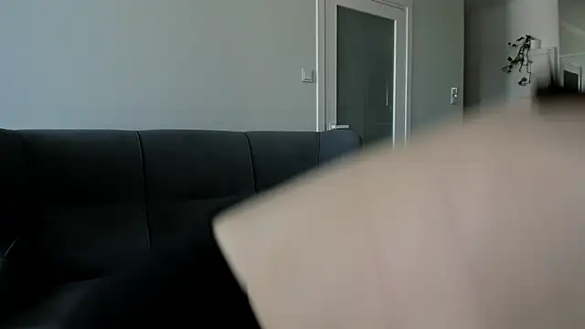 Dorimena webcam