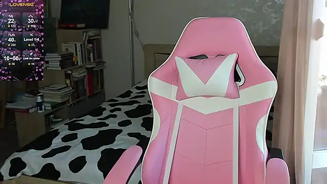 bbJ_one webcam