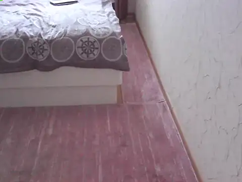 svvs27 webcam