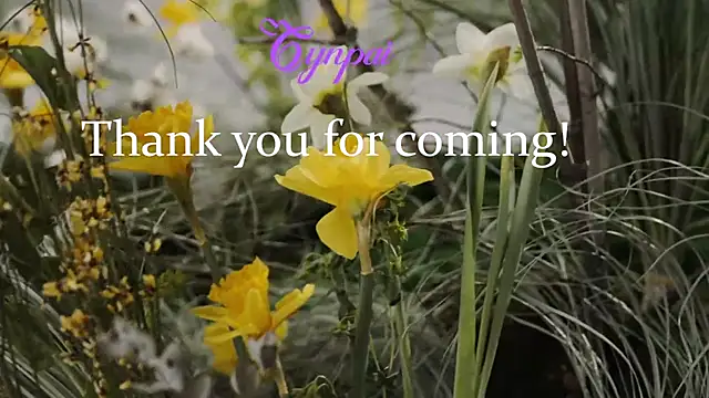Preview of cynpai