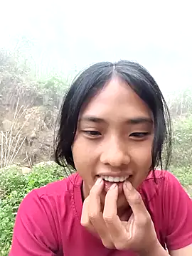 Hoa-tuylip webcam