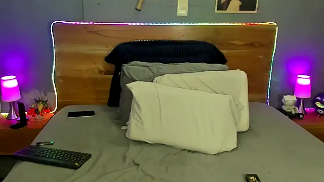 Prometeo-grizzly webcam