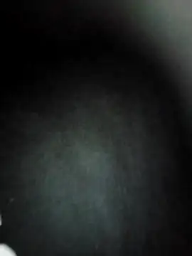 lamasrica20 webcam