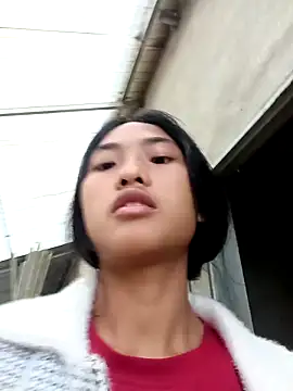 Hoa-tuylip webcam